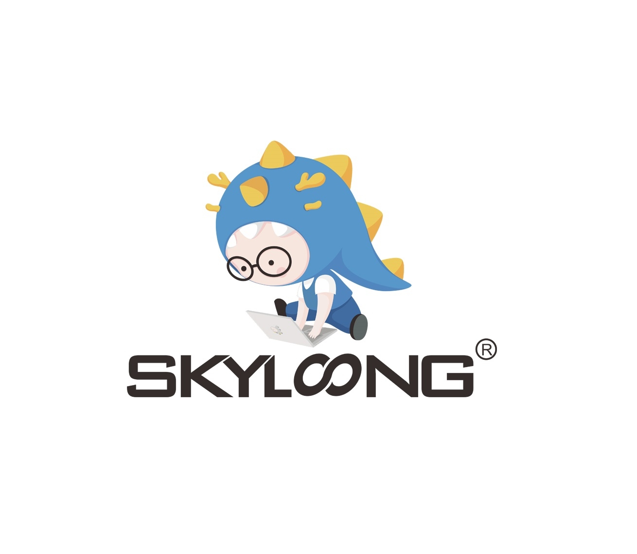 Skyloong Coupons and Promo Code